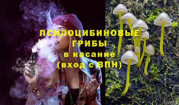 сатива Белоозёрский