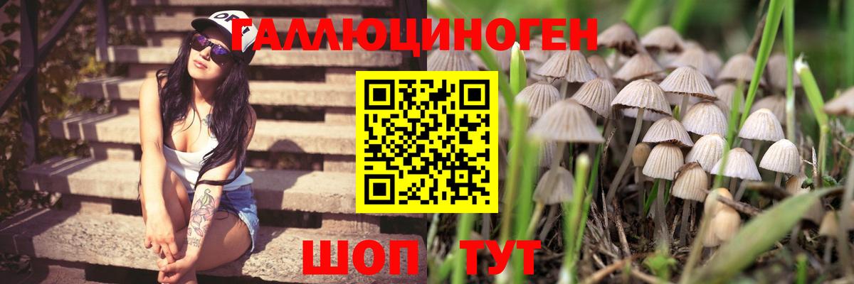 Галлюциногенные грибы мухоморы  Вход с VPN  наркотики  Новый Уренгой 
