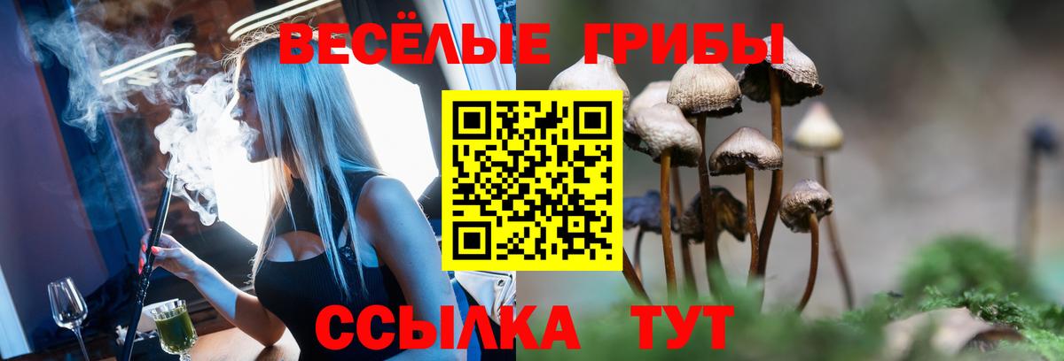 Псилоцибиновые грибы прущие грибы Новый Уренгой