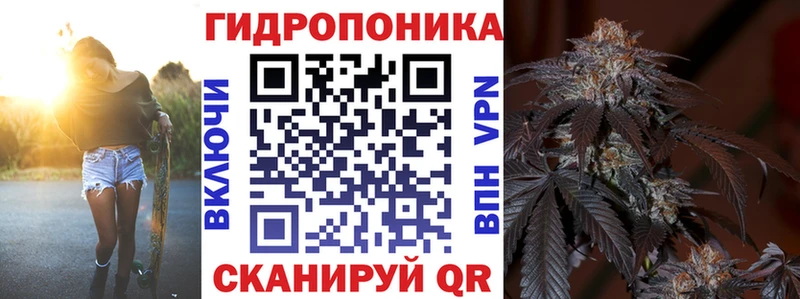 купить наркотик  Новый Уренгой  Конопля план 